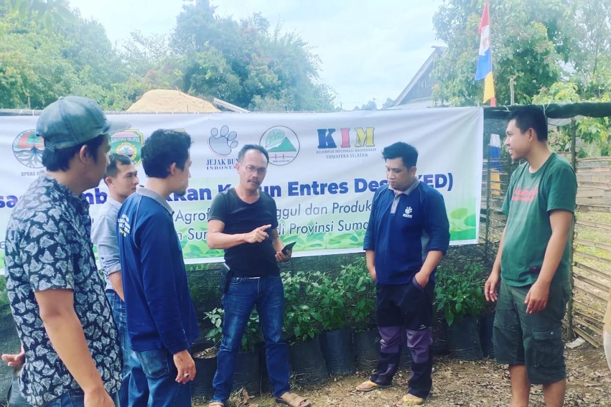 Jejak Bumi Indonesia jalankan program rehabilitasi hutan dan DAS