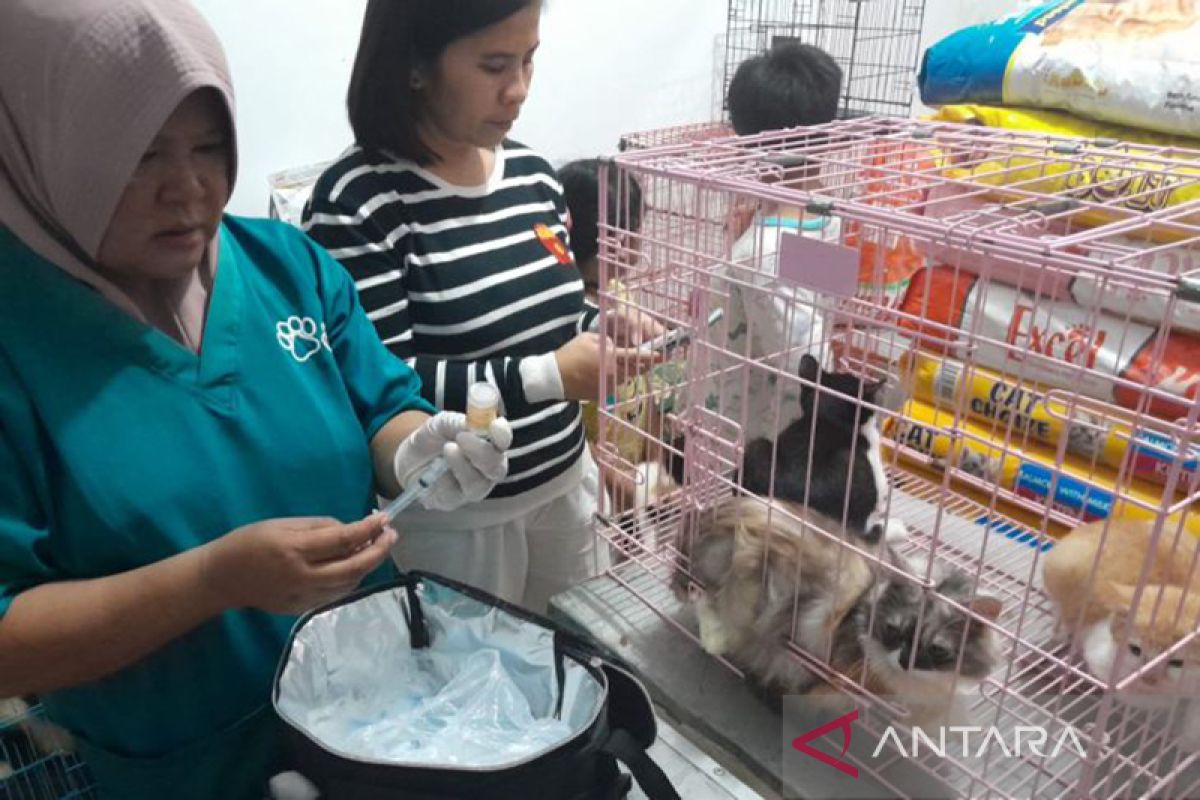 PDHI gelar vaksinasi rabies gratis di Mukomuko