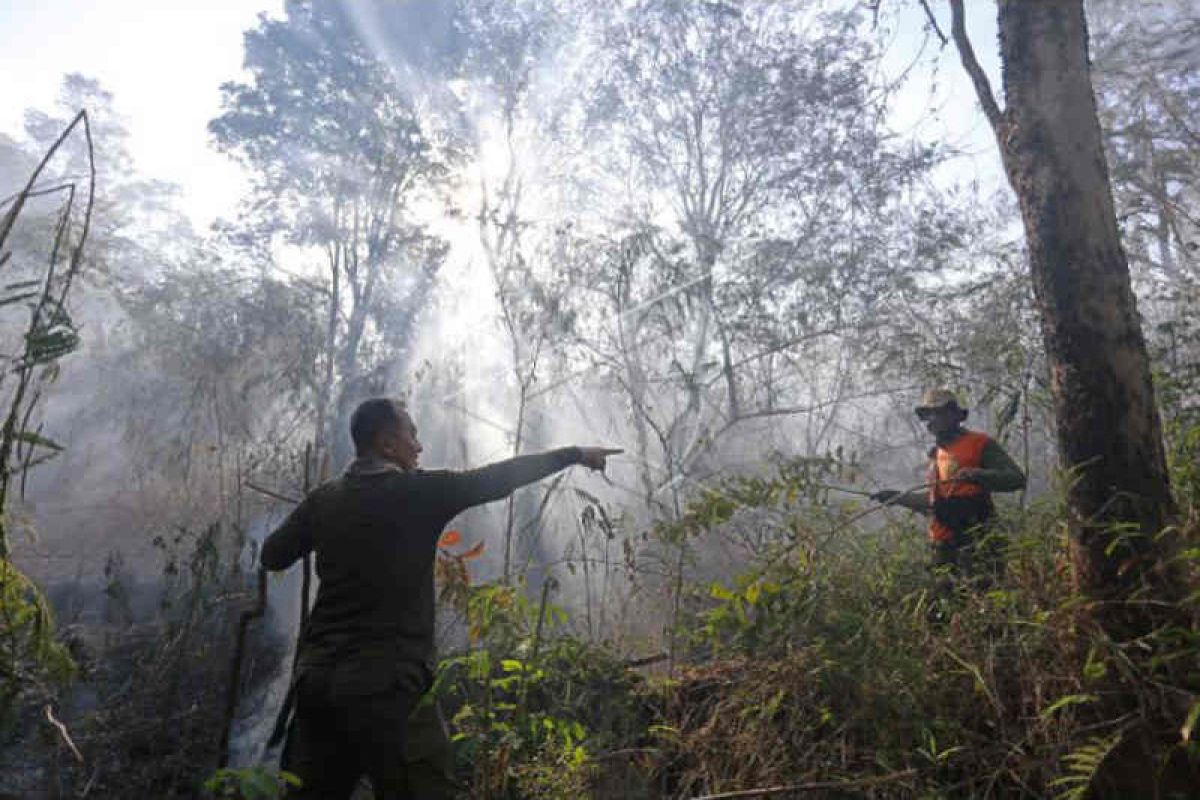 Petugas TNGC dan TNI-Polri padamkan kebakaran di Gunung Ciremai