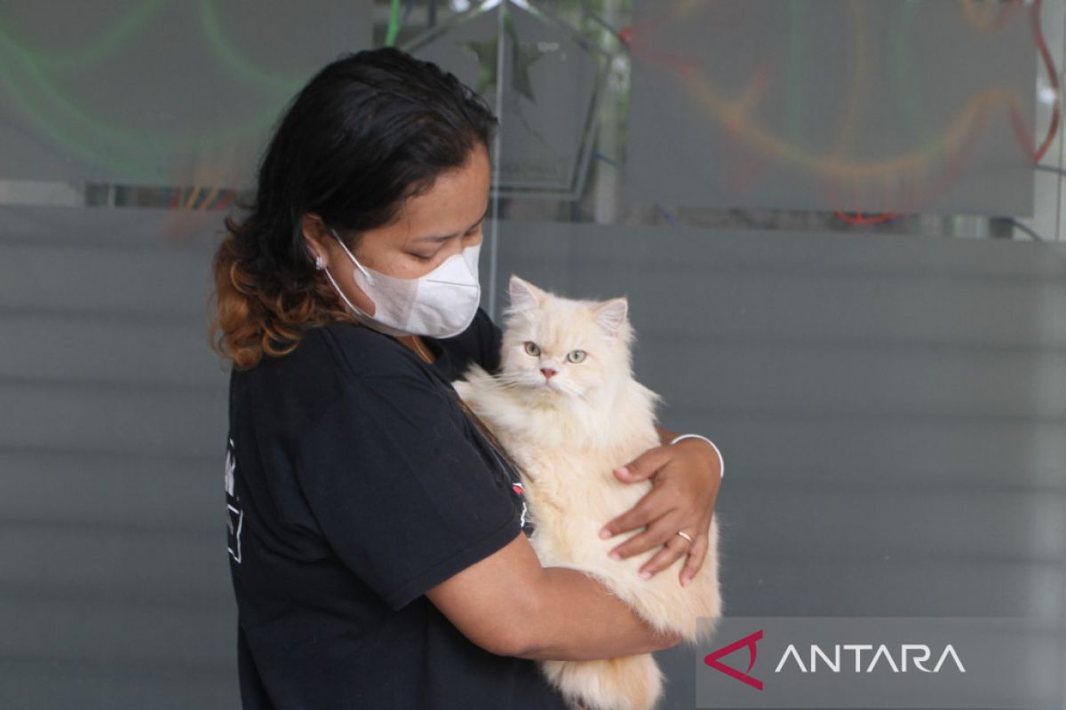 Peringatan Hari Rabies Sedunia di Malang - ANTARA News Jawa Timur