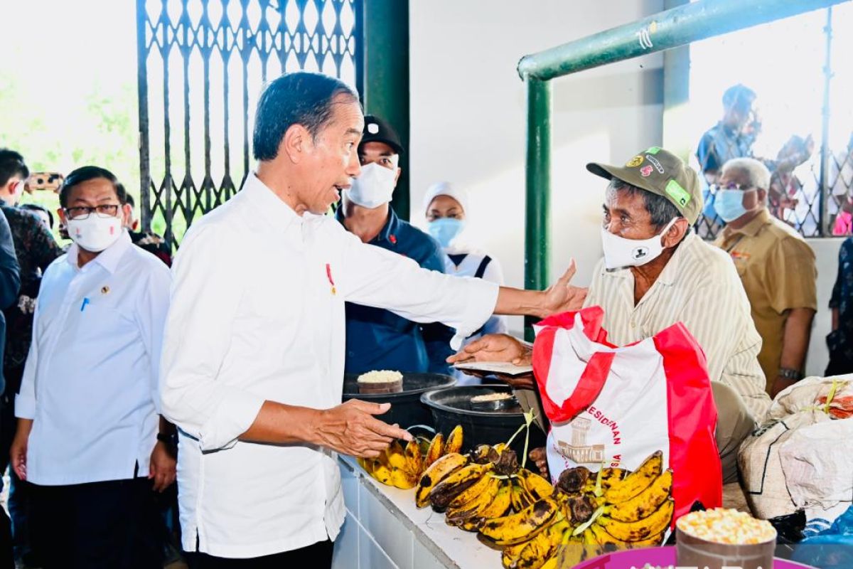 Presiden Jokowi bagikan bantuan modal kerja kepada pedagang di Buton Selatan