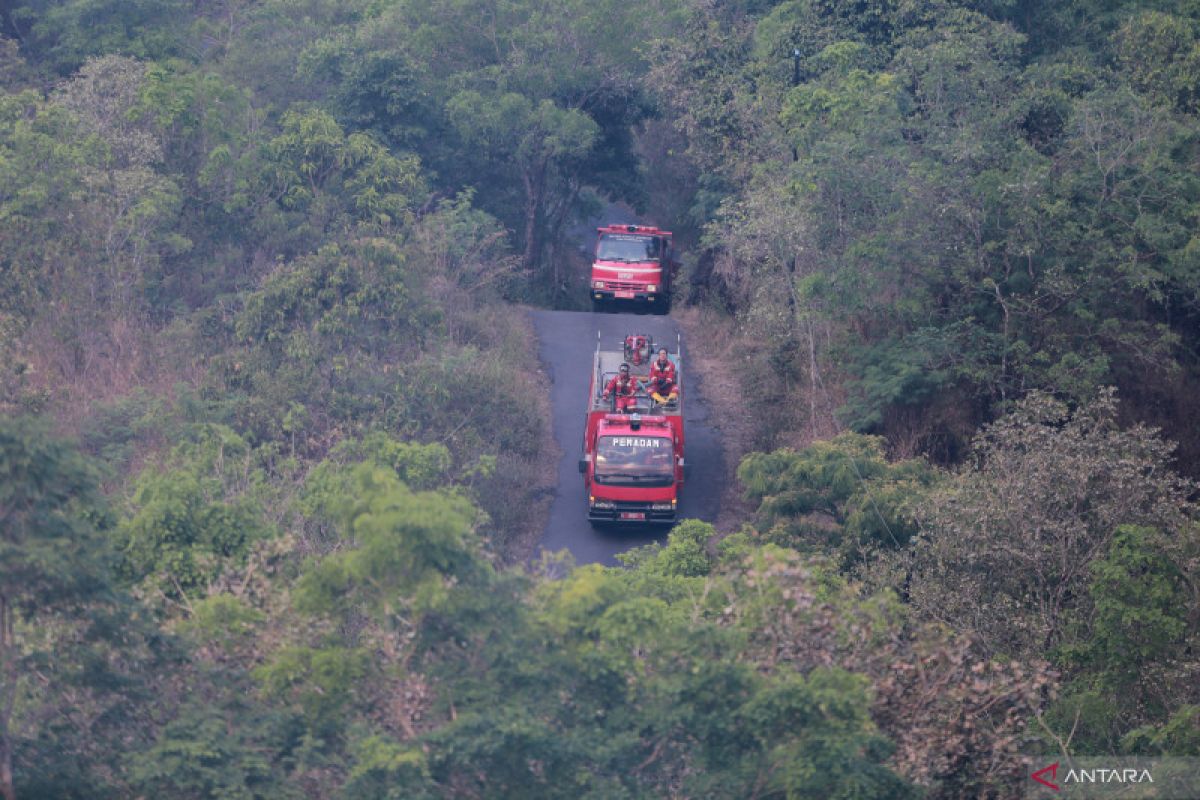 Karhutla Gunung Ciremai Meluas - ANTARA News