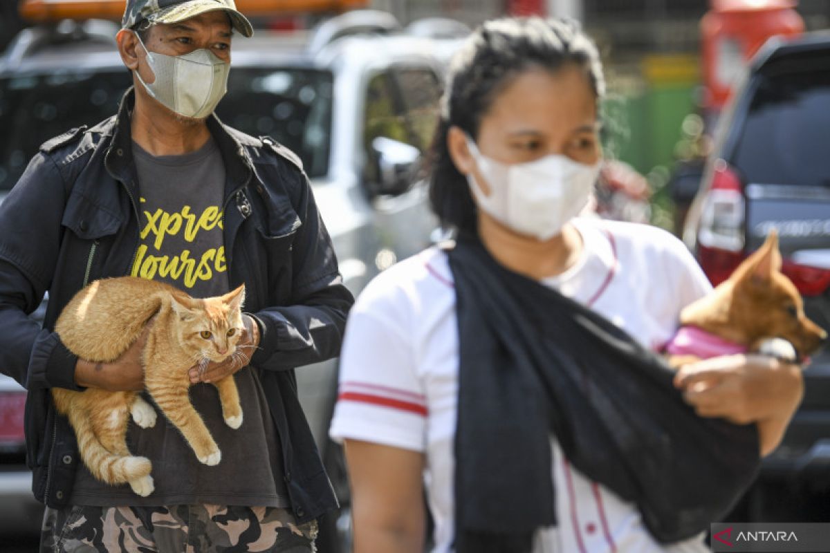 Dokter ingatkan keluarga untuk vaksinasi rabies pada hewan peliharaan