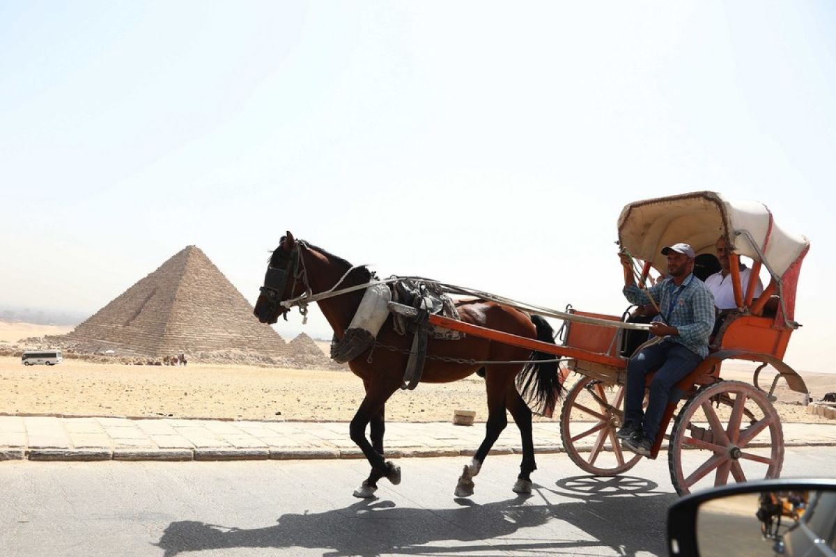 Mengunjungi Piramida Mesir pada peringatan Hari Pariwisata Sedunia