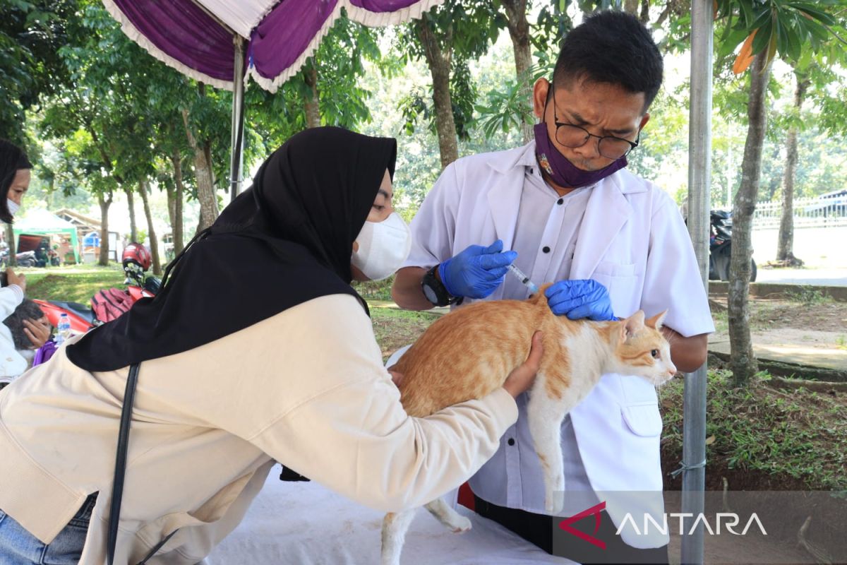 Peringati Hari Rabies, Pemkab Tangerang vaksinasi rabies gratis hewan peliharaan