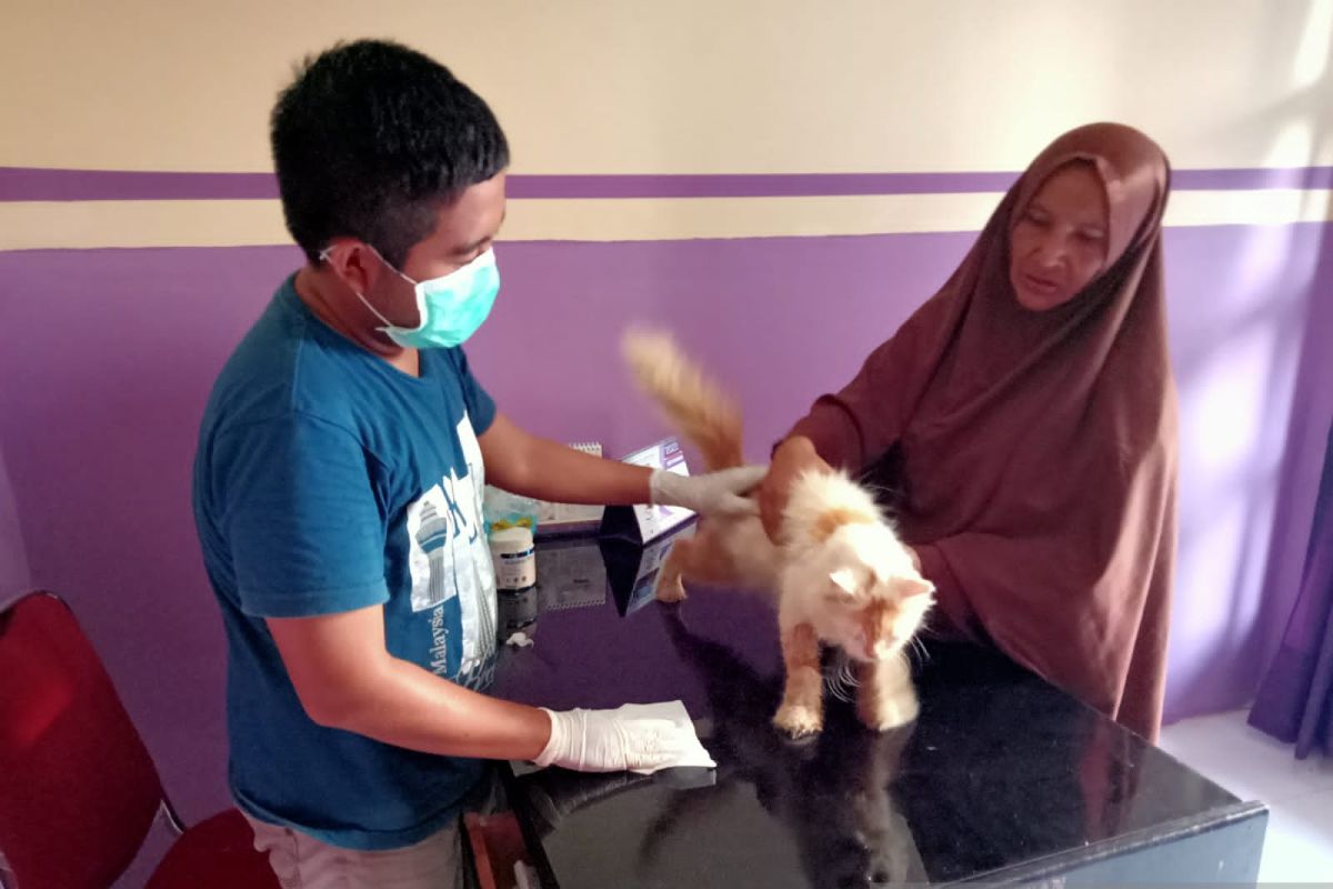Disnakkeswan Gorontalo Utara kendalikan rabies dengan vaksinasi gratis