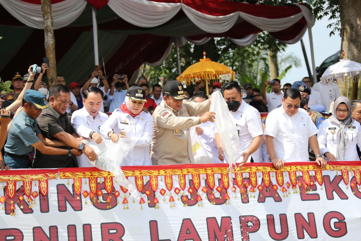 Lampung tebar 1 juta benih ikan endemik cegah kepunahan populasi