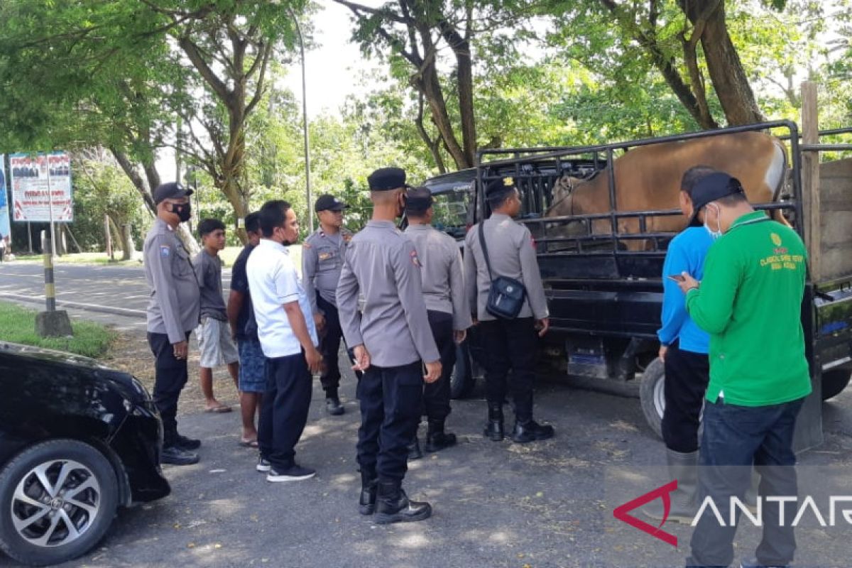 Polres Gorontalo Utara mendukung pengetatan lalu lintas ternak cegah PMK