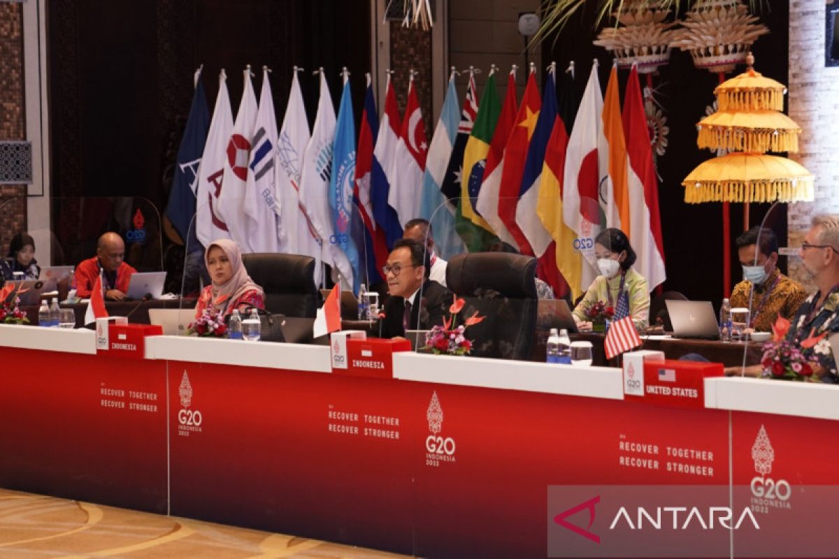 Pertemuan SFWG ke-4 fokus hasilkan laporan keuangan berkelanjutan G20