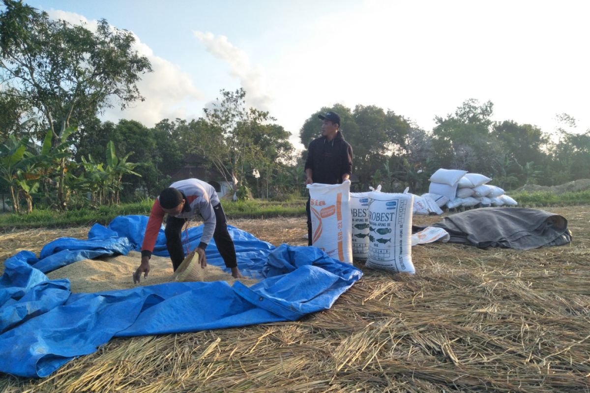 Bupati: Peran penyuluh ditingkatkan dalam jaga stabilitas nasional