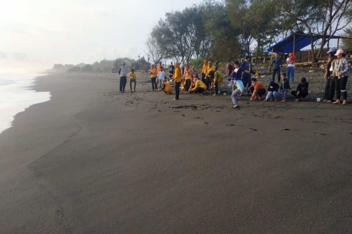 Masyarakat pengawas Kulon Progo catat tiga pantai titik penyu bertelur