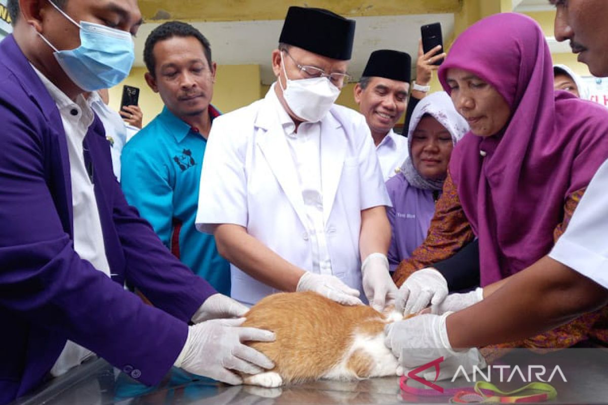 Pemprov Bengkulu distribusikan 2.800 dosis vaksin rabies