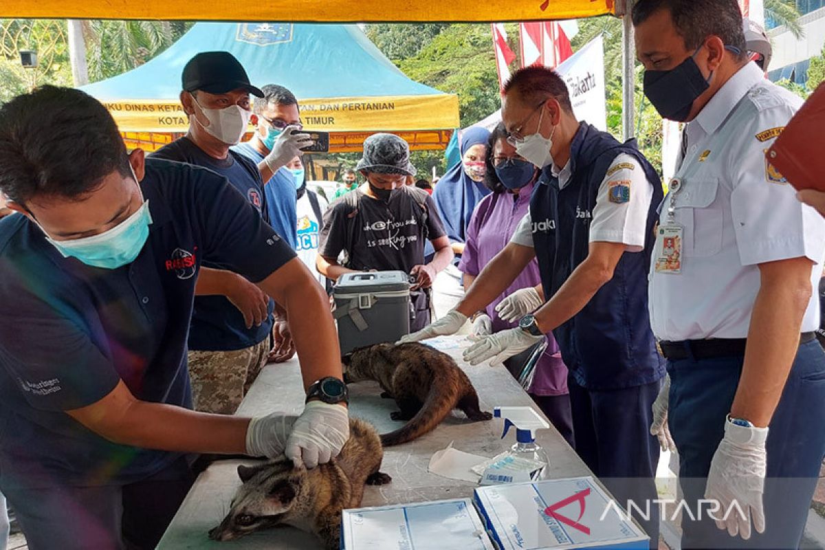 Jakarta Timur antisipasi penularan rabies dengan vaksinasi hewan