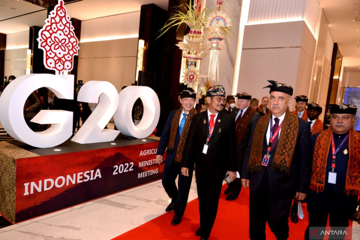 Mentan: Tiga isu prioritas Indonesia direspon positif anggota G20 (video)