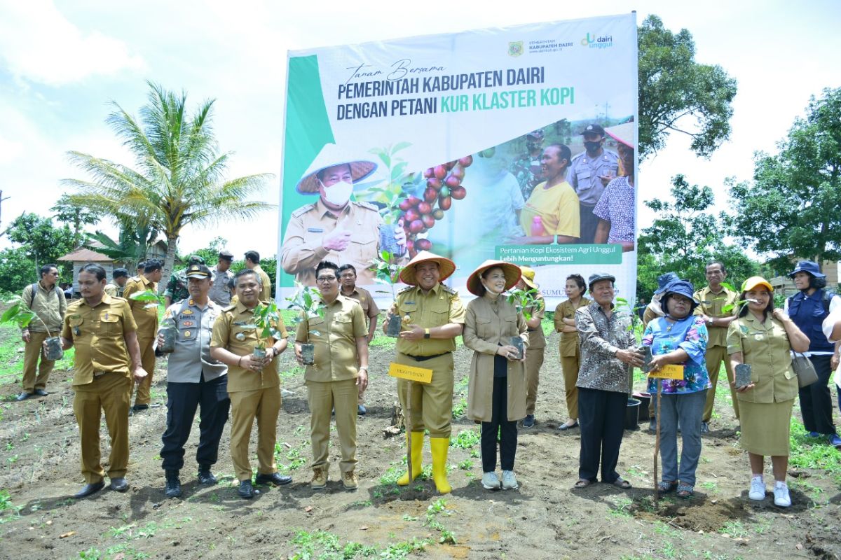 Pemkab Dairi canangkan penanaman kopi di Desa Hutarakyat