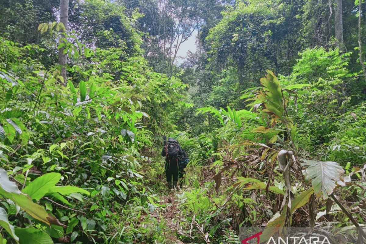 Konsorsium Bentang Seblat petakan koridor gajah