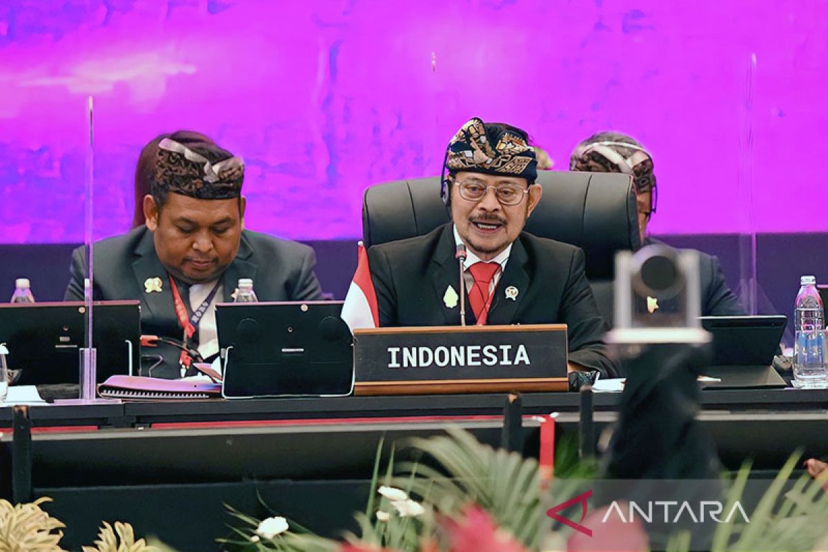 Mentan RI tegaskan pangan bagian "human rights" di AMM G20