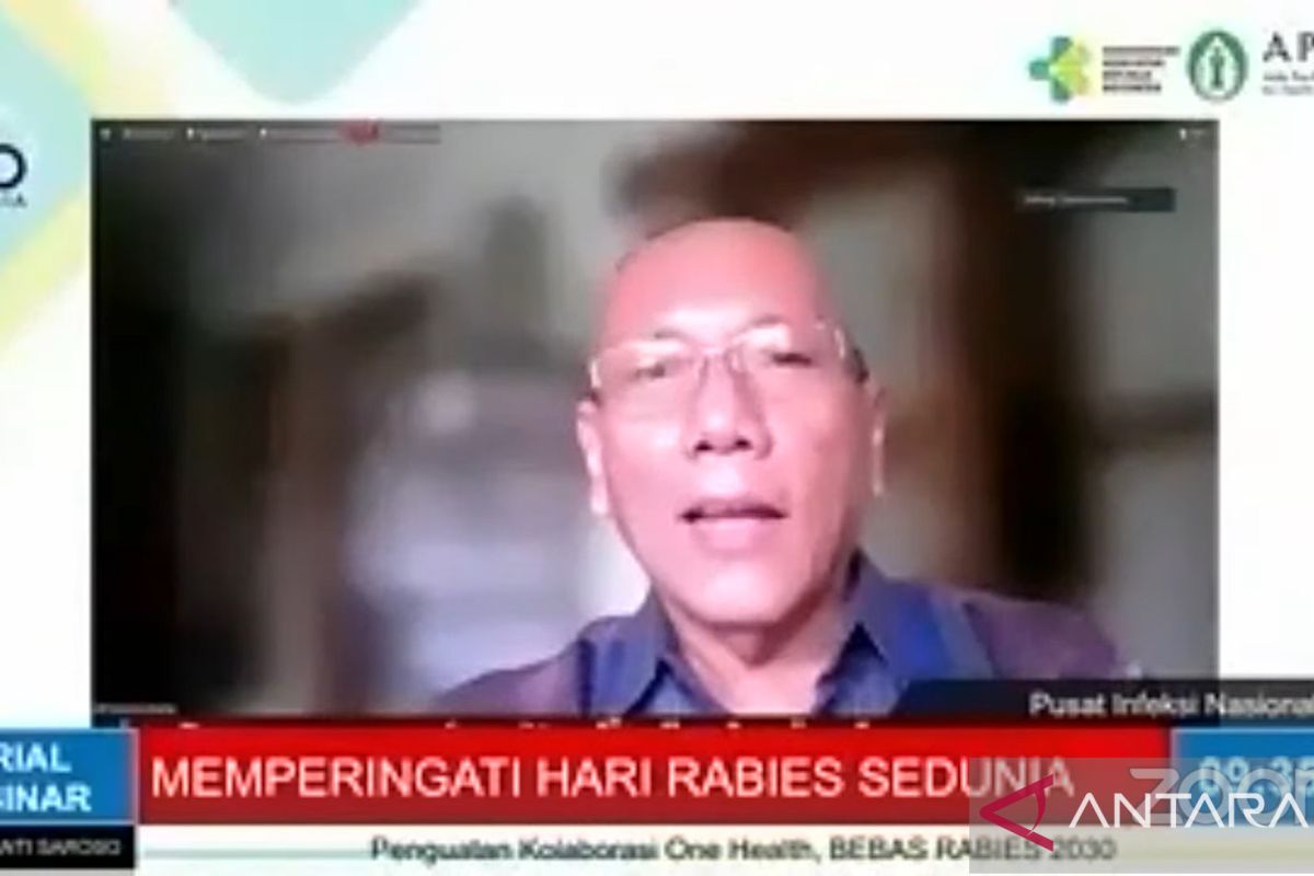 Pakar sebut 60 persen wilayah Indonesia endemis rabies