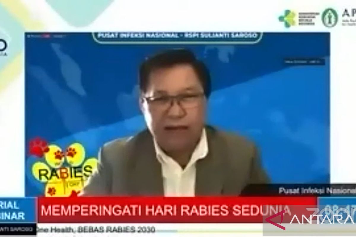 Kemenkes sebut hanya 8 provinsi di Indonesia bebas dari rabies