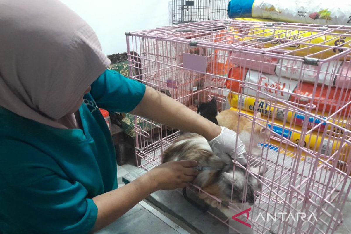 Dinkes Mukomuko terima tambahan vaksin antirabies