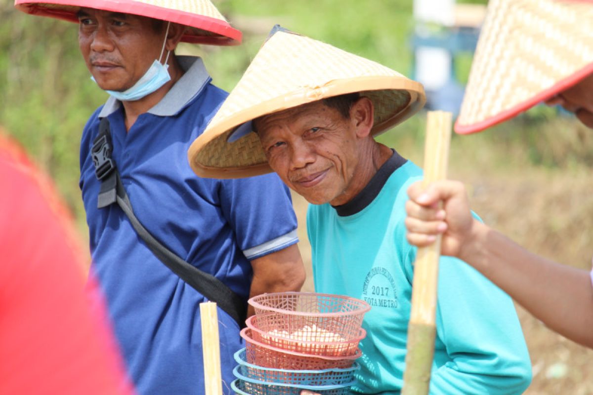 Petani dan nelayan bangkit perkuat Lampung sebagai lumbung pangan