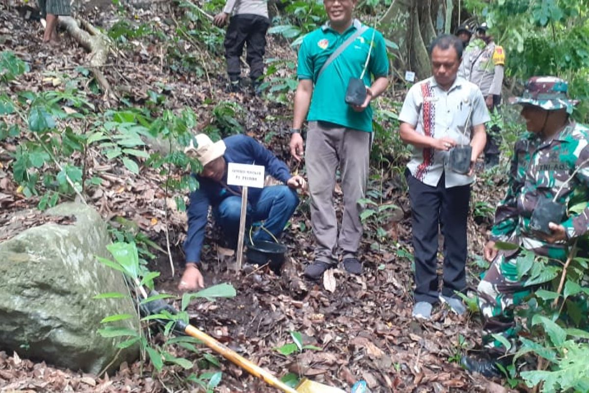 Pelindo Maumere lestarikan lingkungan dengan tanam 1.000 anakan