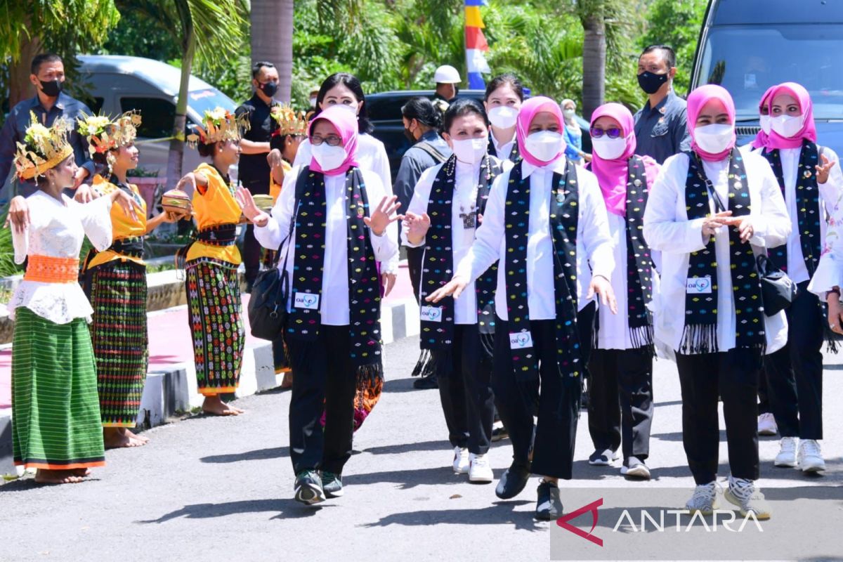 Iriana Jokowi dan OASE KIM tanam pohon di Pulau Rinca