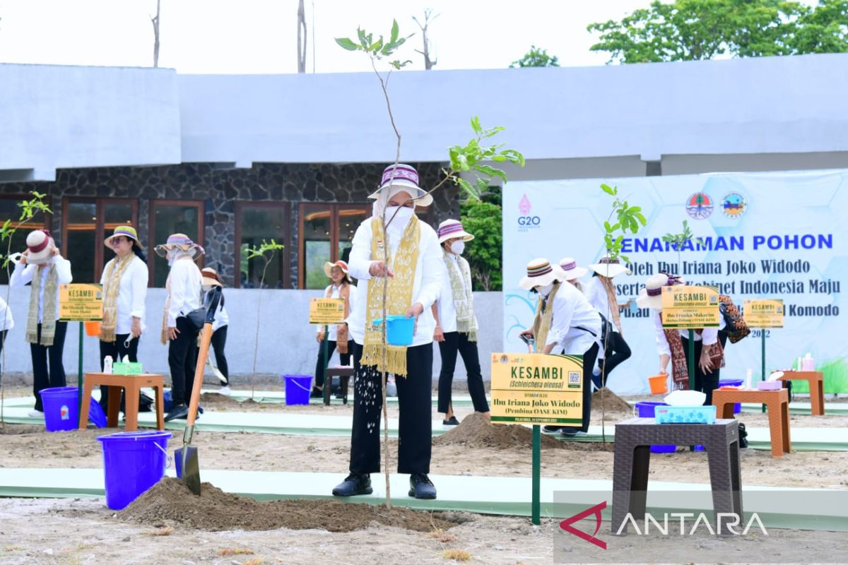 Iriana Jokowi dan OASE KIM tanam pohon kesambi di Pulau Rinca