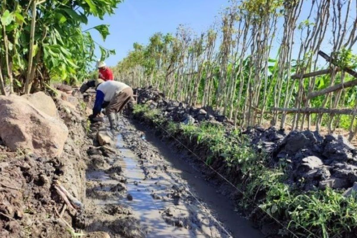 Labor-intensive water resources programmes absorb 130 thousand workers