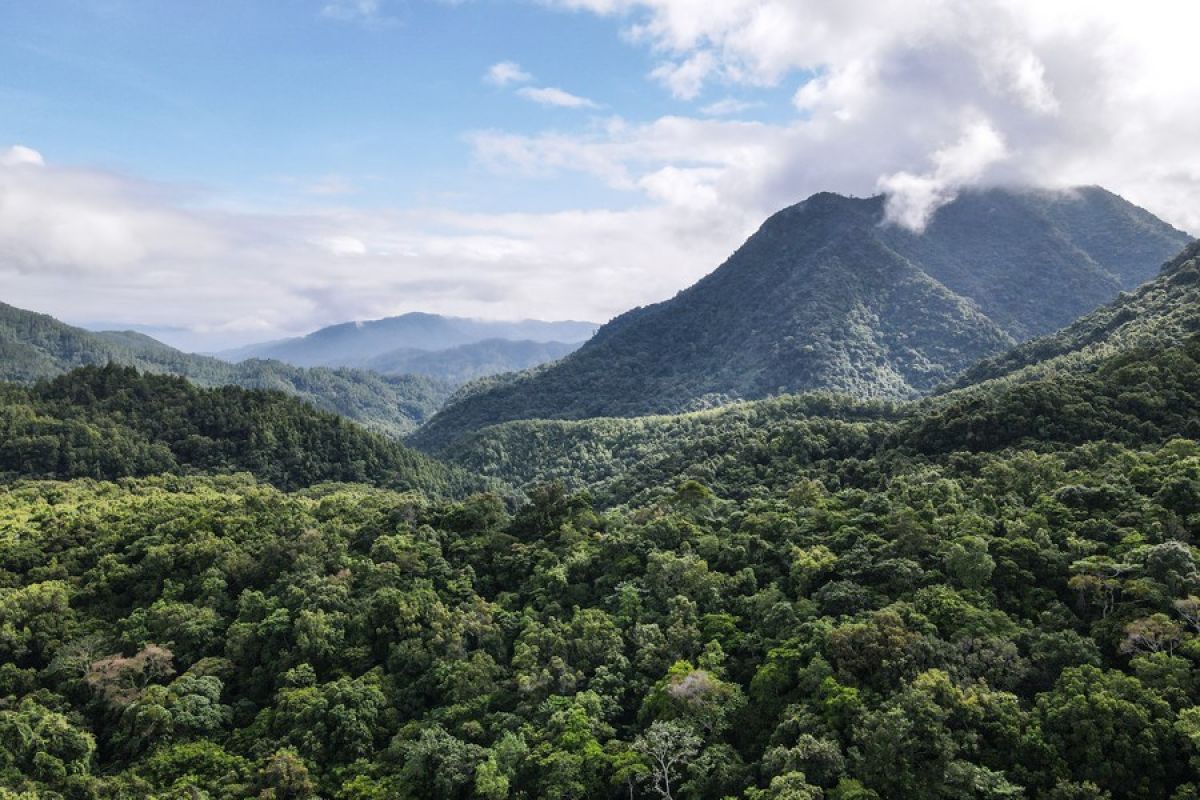 China luncurkan kebijakan untuk jamin pembangunan taman nasional