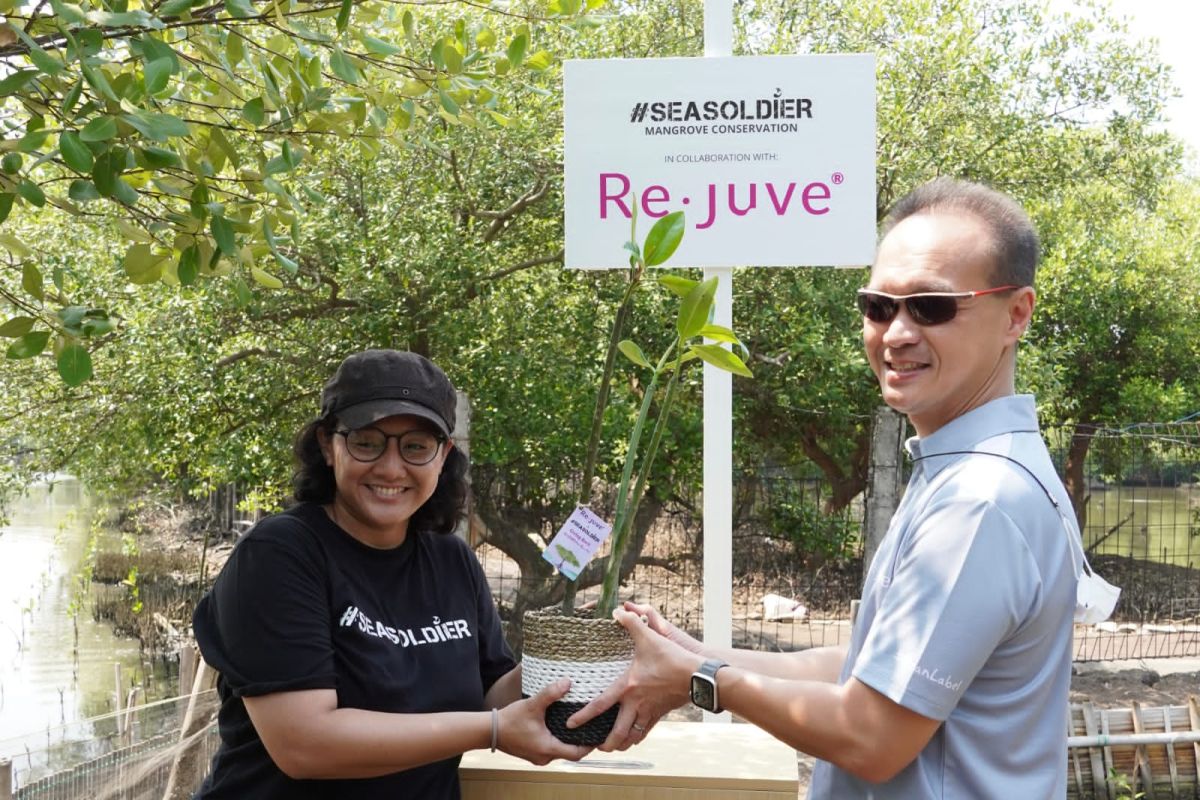 Melanjutkan aksi peduli terhadap lingkungan, Re.juve tanam 2.500 bibit mangrove bersama Seasoldier