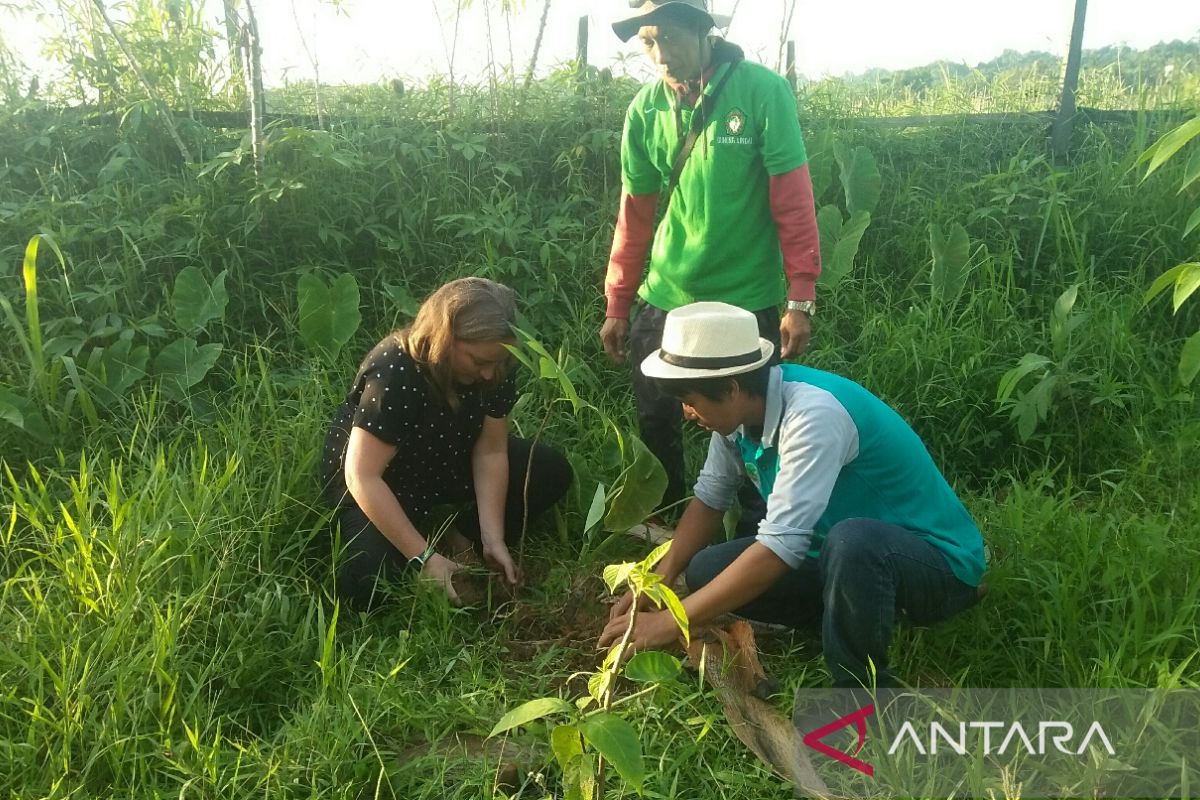 Rekomendasi restorasi Sub-DAS Karang Mumus