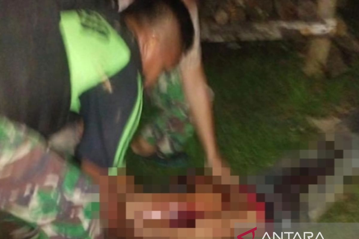 Empat jasad korban pembantaian KKB dievakuasi ke Bintuni