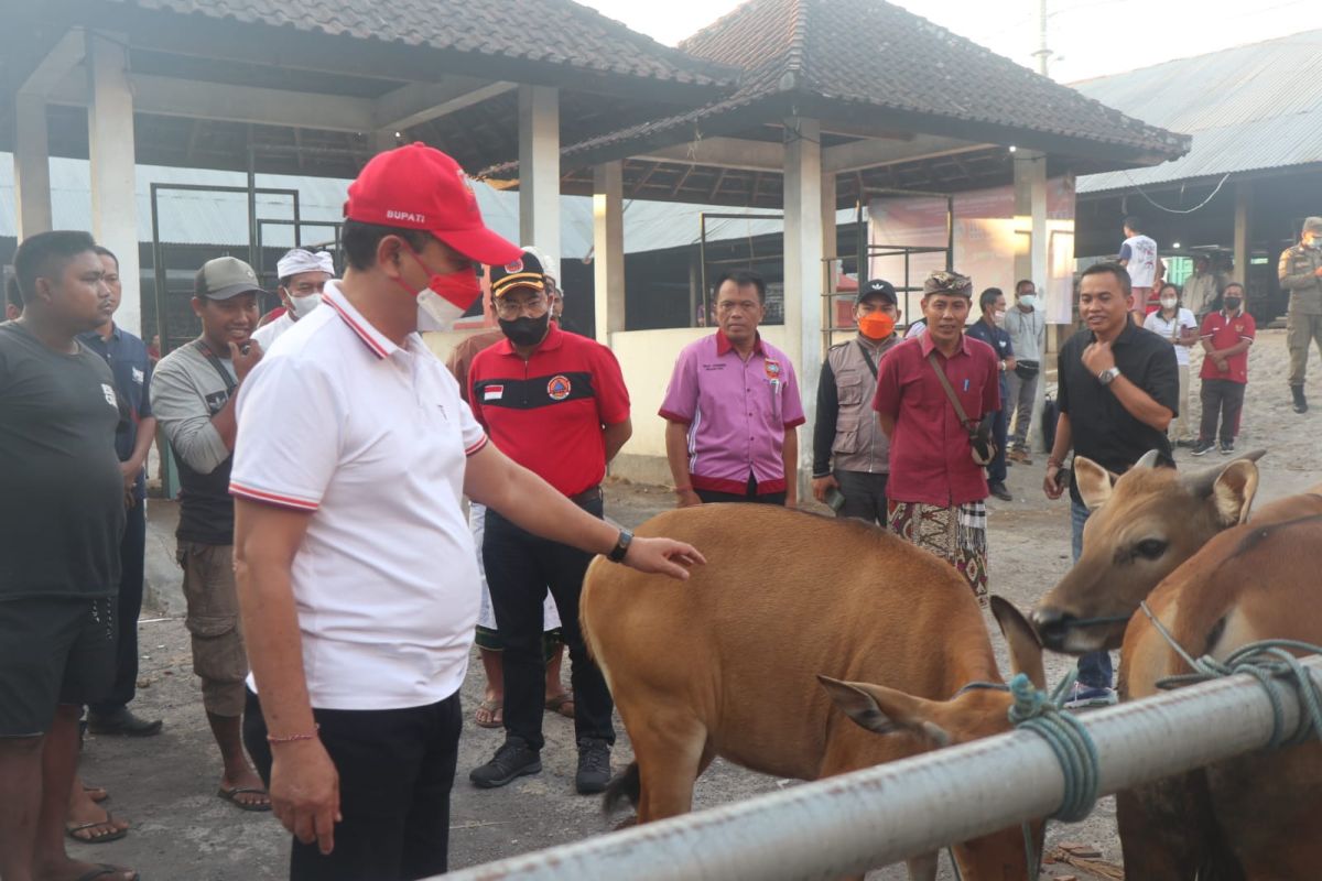 Pemkab Karangasem tugaskan dokter awasi kesehatan sapi di pasar