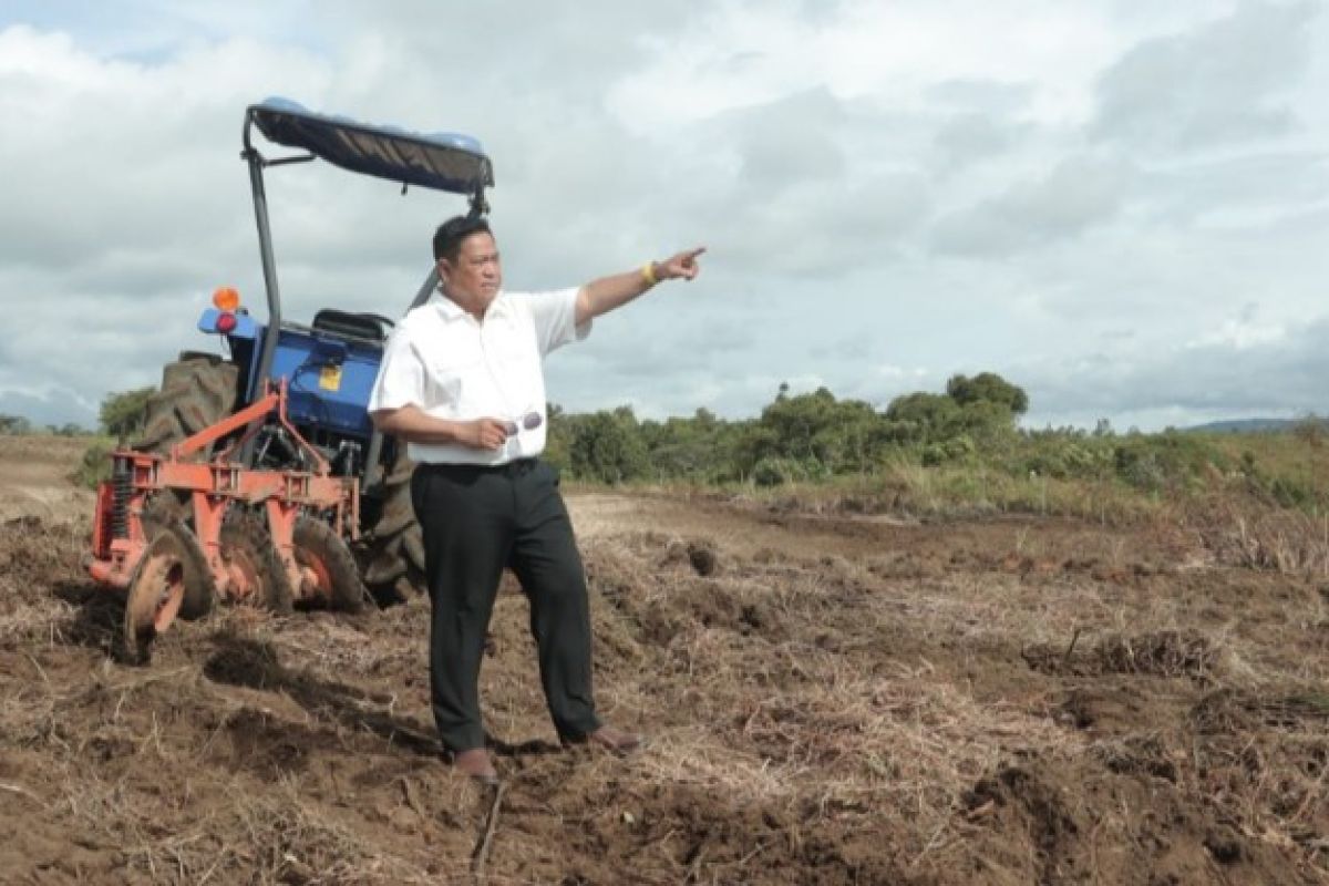 Pemkab Dairi bersiap menjadi sentra pertanian terpadu di Sumut
