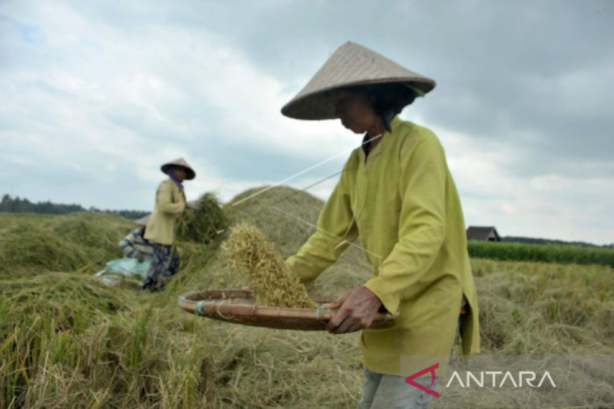 Sumsel mitigasi banjir di sentra produksi pangan