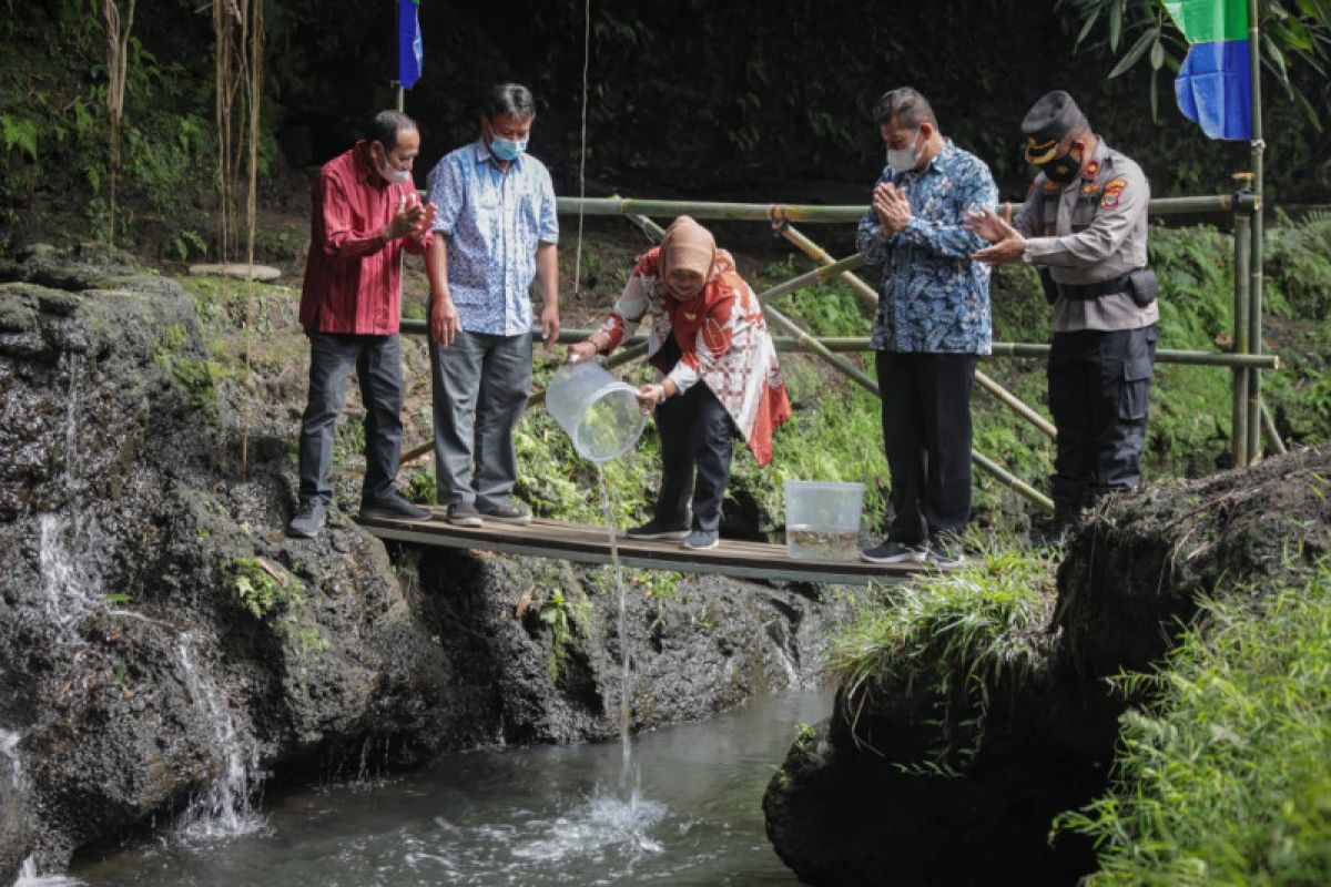 Masyarakat Gamping menggelar "Merti Kali" jaga kelestarian sungai