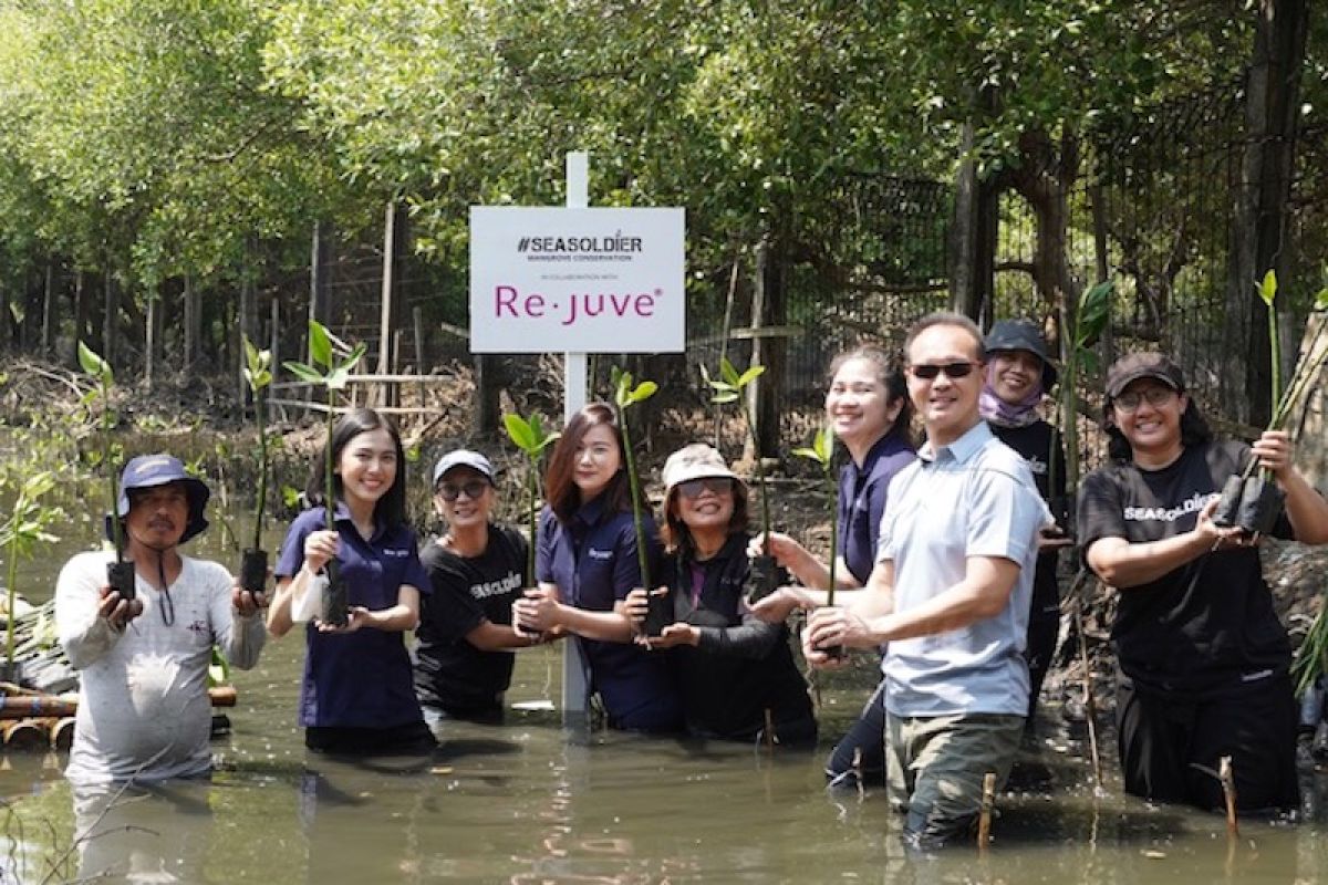 Re.juve tanam 2.500 bibit mangrove