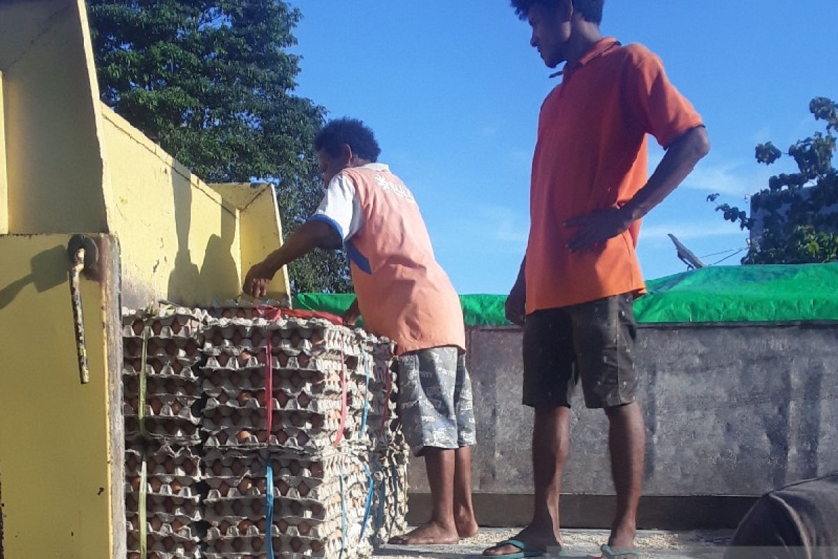 Pemkab Biak Numfor bantu bahan makanan dan beras 20 ton untuk warga Swandiwe
