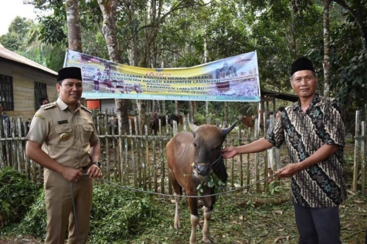 Pemkab Lamandau salurkan bantuan hewan kurban