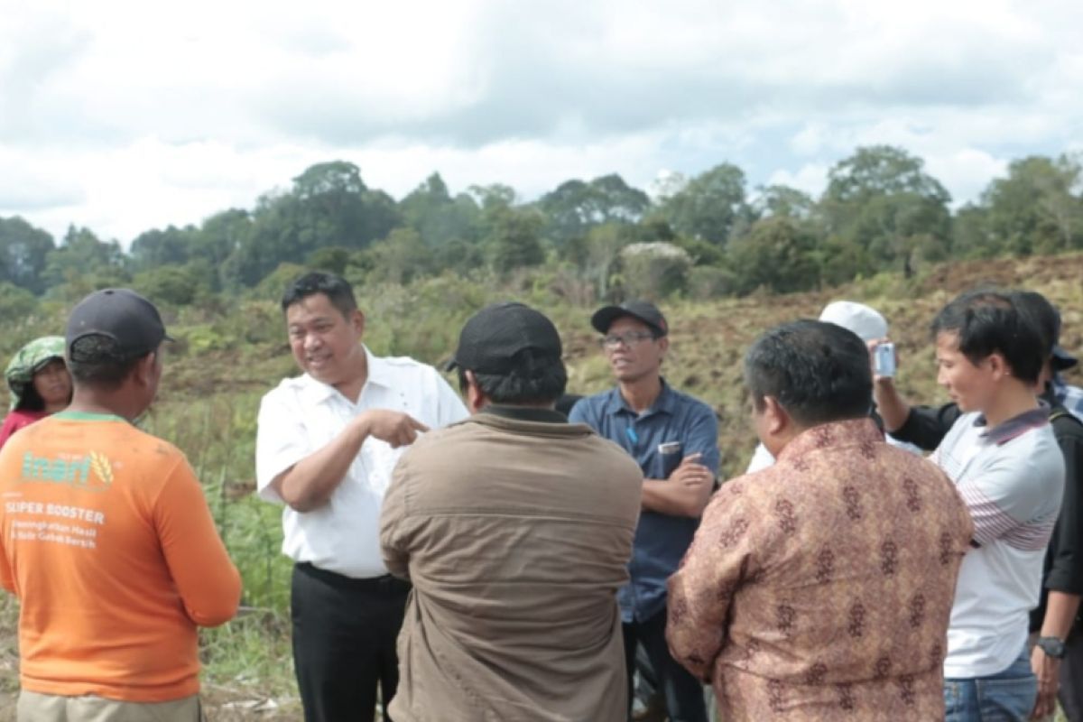 Dairi dinilai potensial untuk pengembangan hortikultura