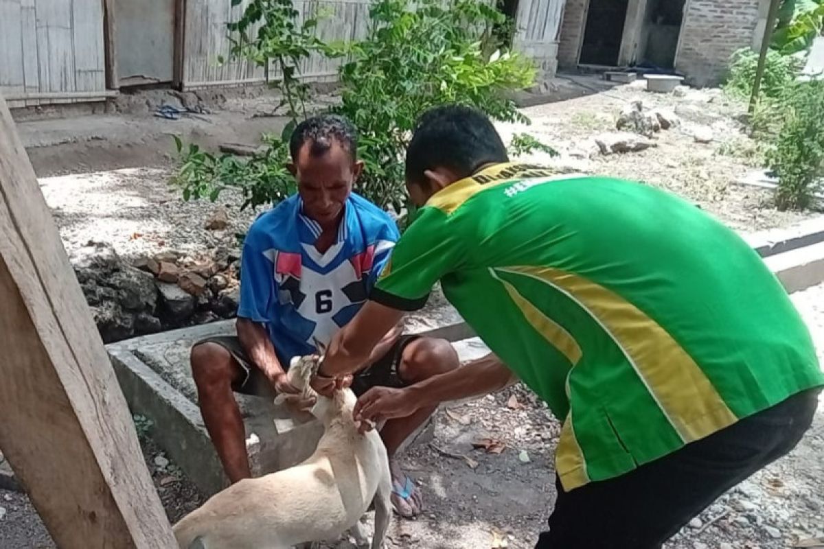 Lakukan hal berikut jika anak tergigit hewan penular rabies