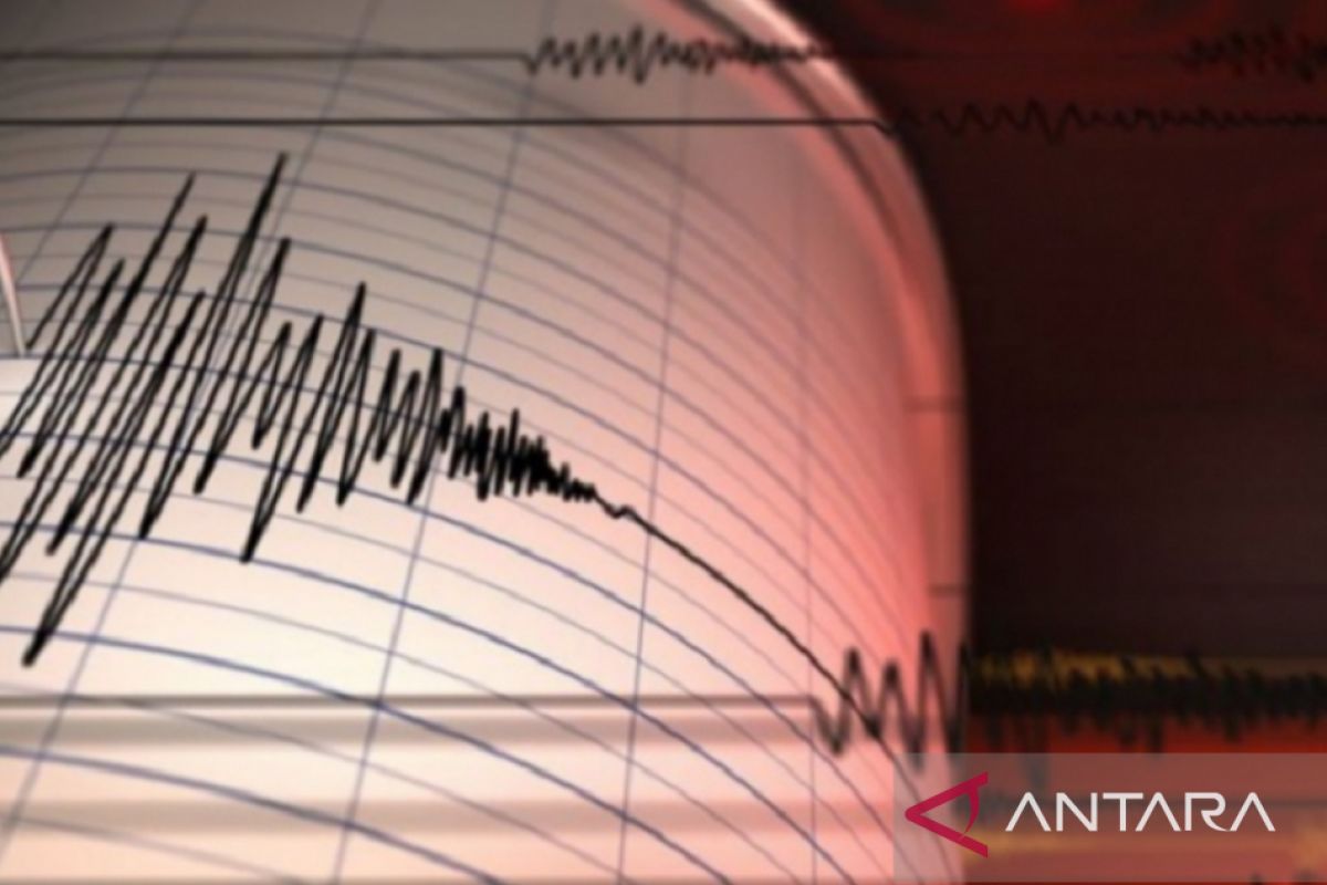 Gempa magnitudo 5,0 terjadi di Maluku Tenggara Barat, tidak berpotensi tsunami