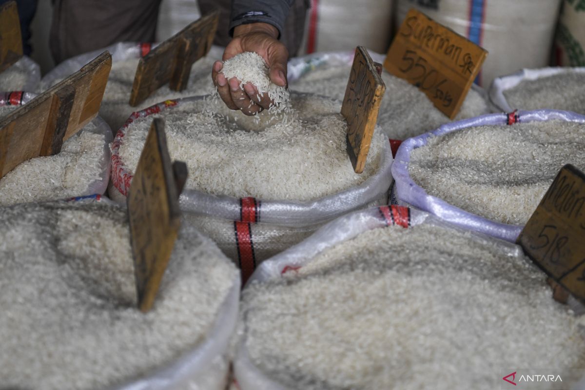 Badan Pangan: Harga beras alami kenaikan pada Juli-September