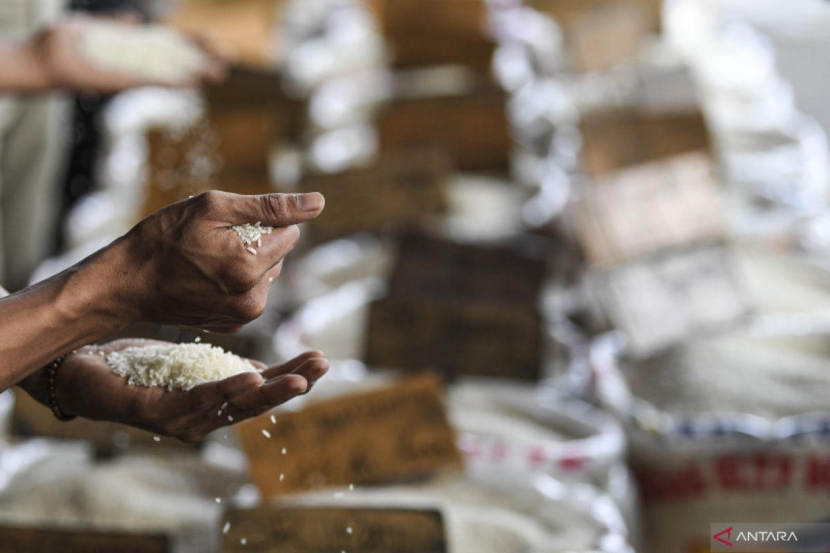 Pedagang warteg keluhkan kenaikan harga beras medium