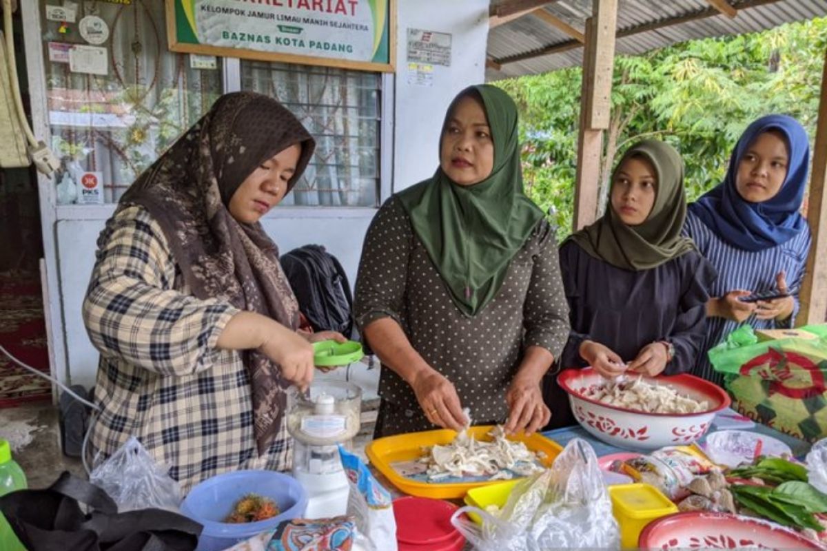 Bisnis Bakso Jamur Tiram Sangat Menjanjikan