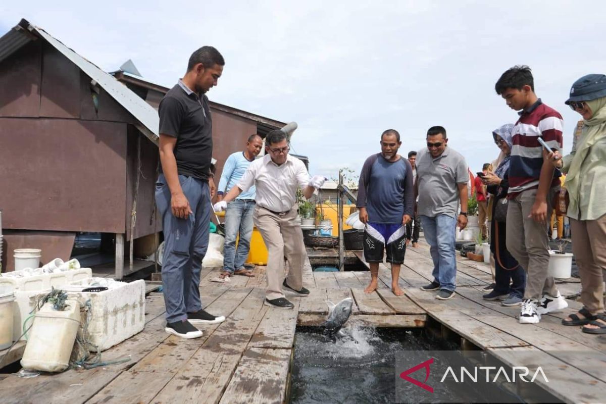 Wali Kota ajak warga pesisir Banda Aceh kembangkan inovasi keramba jaring apung
