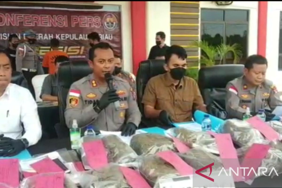 Polres Bintan musnahkan belasan kilogram ganja