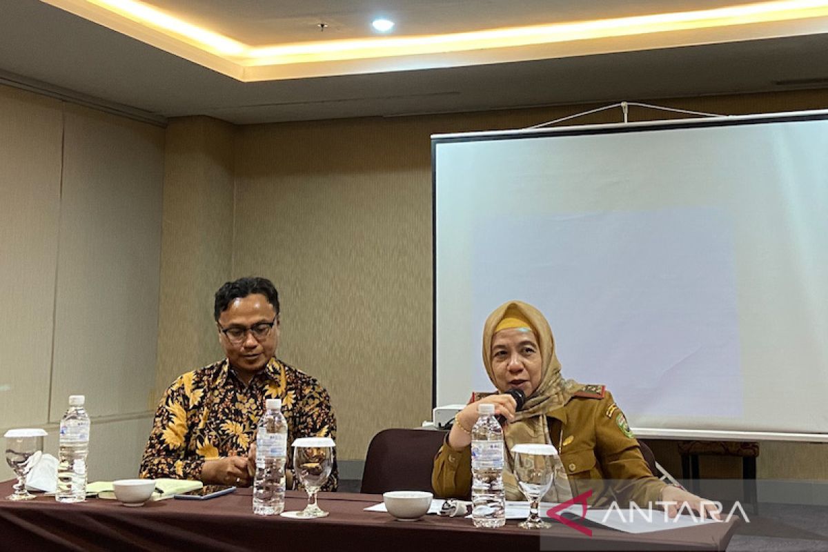Sumatera Selatan susun Kajian Lingkungan Hidup Strategis perbarui RTRW