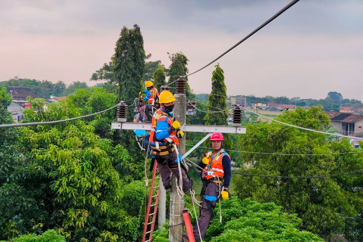 Hadapi cuaca ekstrem, ini imbauan PLN untuk jaga keselamatan pelanggan